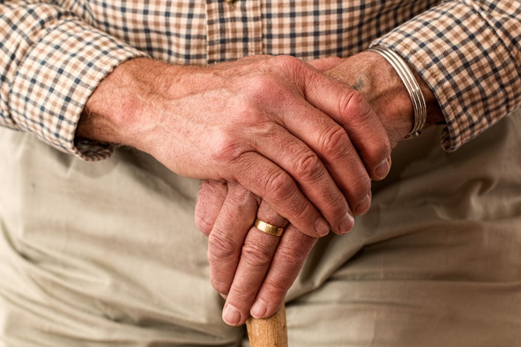 Is the Welfare State Dead? The Hard Choice Between Chaos and Reform 2 welfare state