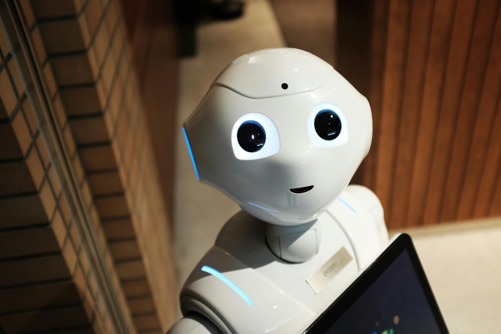 Robot Revolution