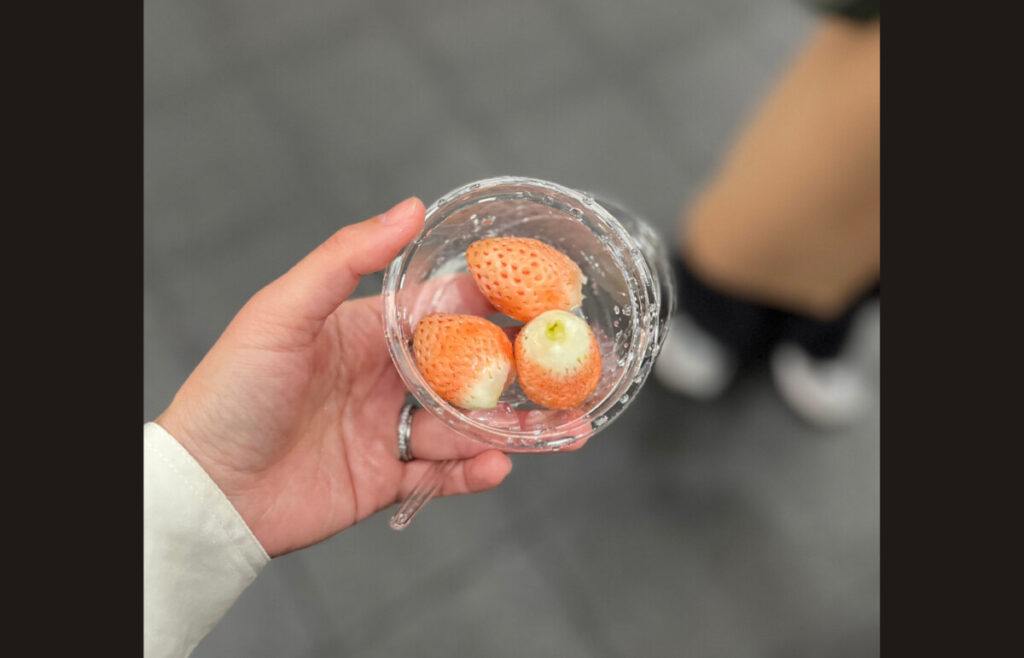 Osaka Dotonbori itinerary: From Michelin Takoyaki to Whisky Tasting at Ultra Market 4 Kuromon Market review